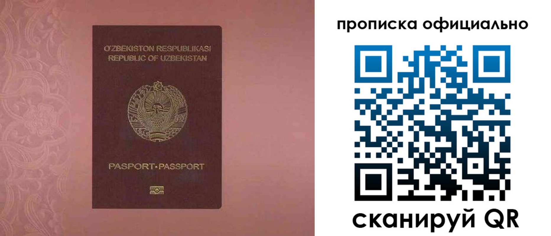 прописка гарантия в Владивостоке